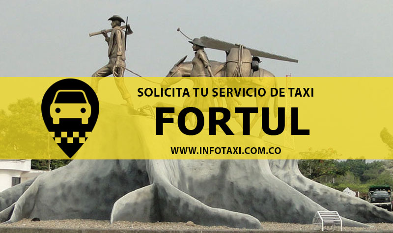 Número de Taxis en Fortul