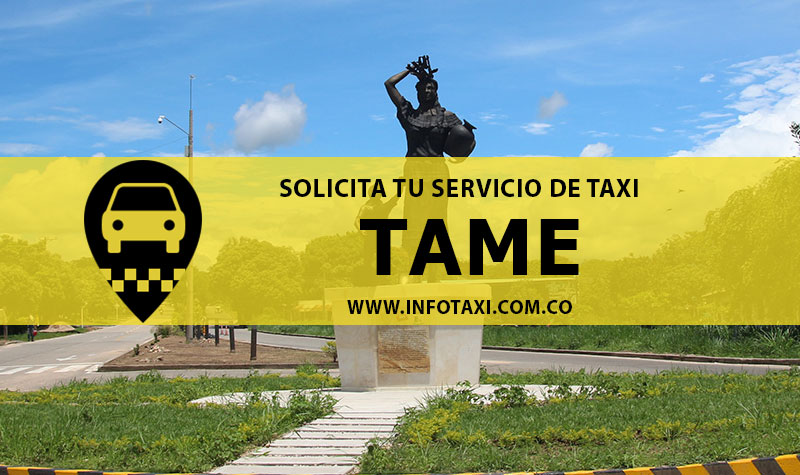 Número de Taxis en Tame