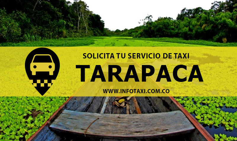 Número de Taxis en Tarapaca